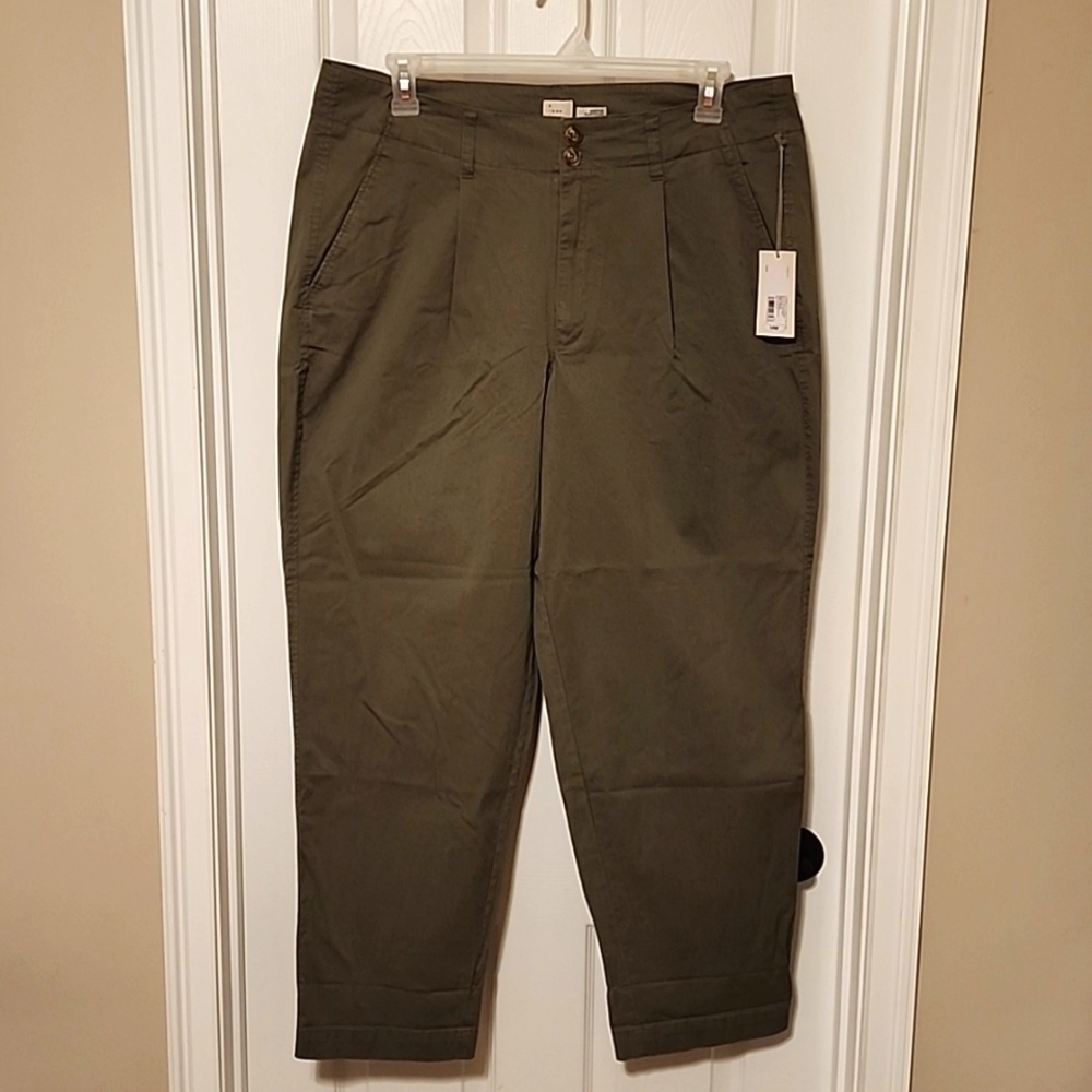 A New Day Women's Plus Olive High-Rise Pleat Front Tapered Chino Pants, Size 14W